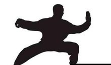 我们家的“武林高手”