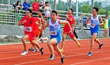 精彩纷呈的运动会