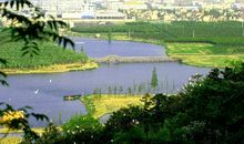 美丽的镜湖湿地公园