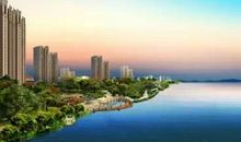 我的一片新天地