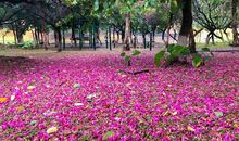 美，一种生活的姿态