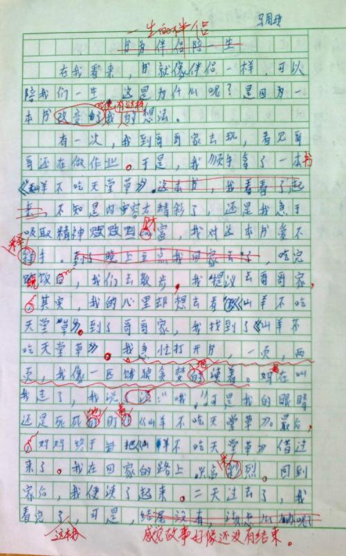 我观察到的深夜作文