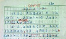 我观察过的一个深夜作文