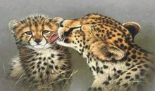 执著追求超越自我