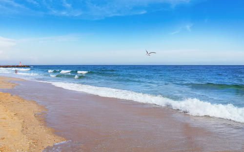海滩风光