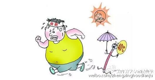 减肥风暴