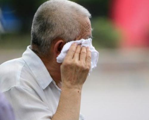 狗为什么不流汗