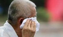 狗为什么不出汗