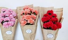 爸爸的生日礼物