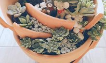 生活处处有惊喜