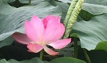 和大自然的沟通