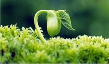 无担当，不成长