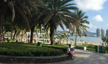 美丽的椰梦长廊