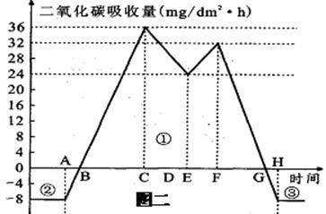 一天的变化