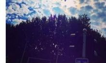 怀念孤单的日子