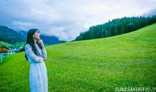 美景滋润我的心