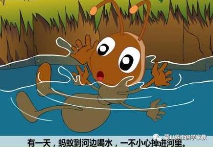 有趣的蚂蚁