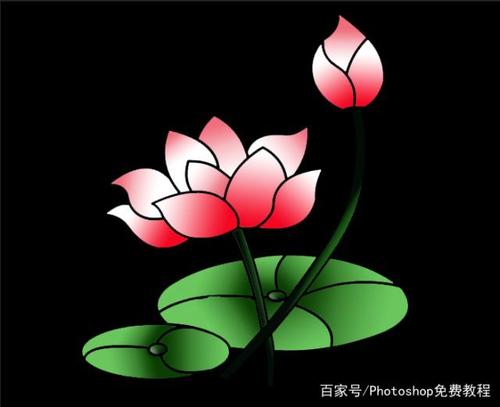 我会做一个荷叶