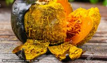 我们家的小“贝贝”