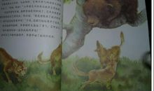 读《孤熊华普的一生》有感