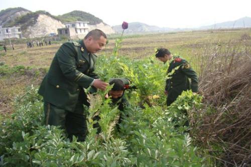 该国狭窄的山脊