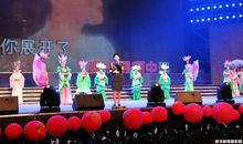 一次难忘的演唱会