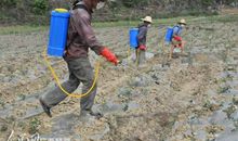 做地球妈妈的环保小卫士