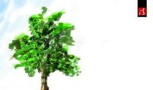 人非草木皆有情