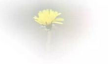 安静是一种幸福