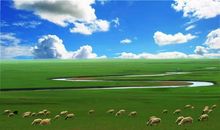 难忘的呼伦贝尔之行