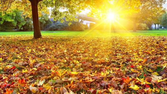 美好的秋天构成500个词五年级