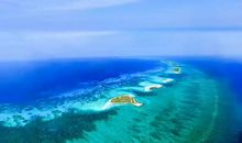 小猴和小狗去看大海