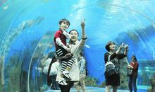 秋游义乌海洋公园