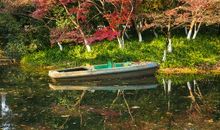 春风十里暖最美太子湾