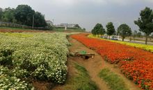 在失败中学会成长