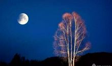 采一缕月光打捞忧伤