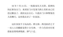 我在这里发现了美作文600字