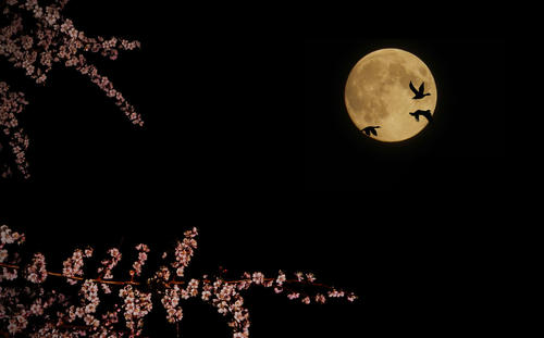 度过一个好月亮的夜晚