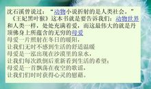 读《王妃黑叶猴》有感