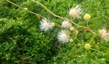 我的“笨”外公