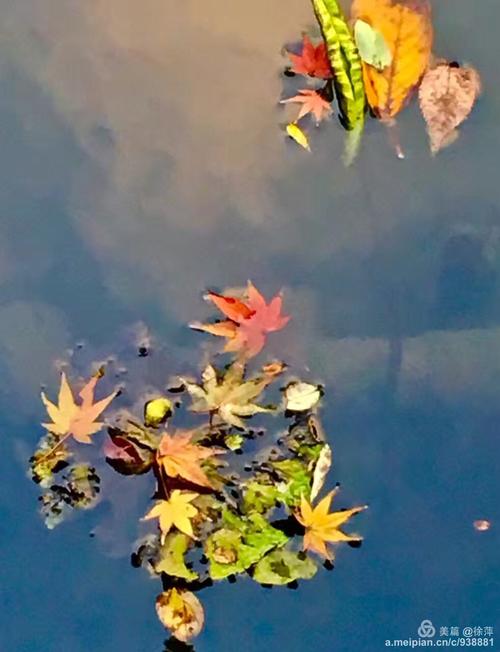 但是看到花朵盛开和秋天，对或错对不重要