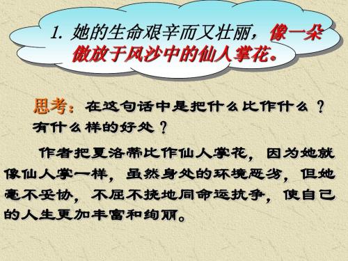 小草大树组成400字