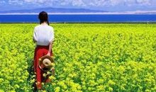 那儿风景真是美