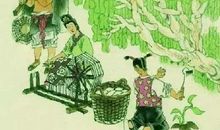 走进最美古诗文