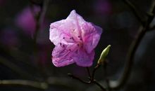 隐匿在红尘深处的爱