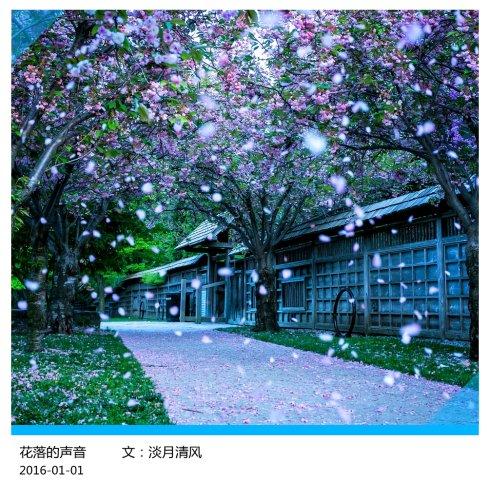 落花的声音