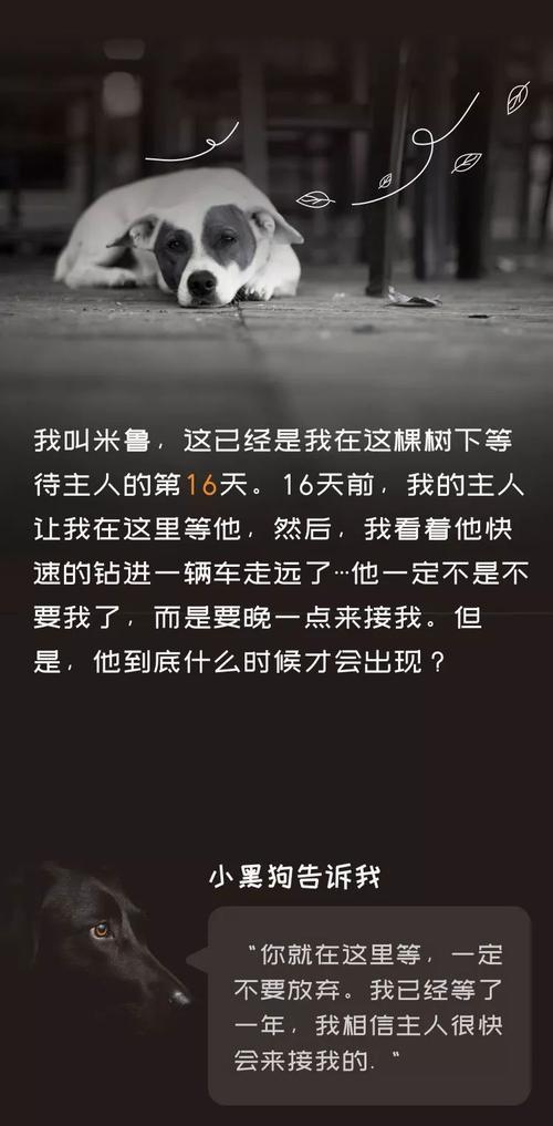 令我感动的故事