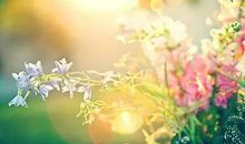 面对生命我流泪了