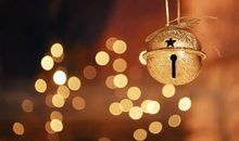 执着是最可贵的