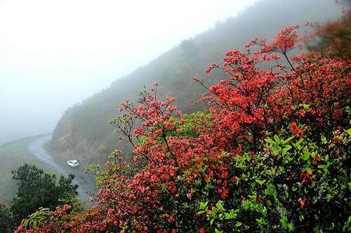 又一年，美丽的春天